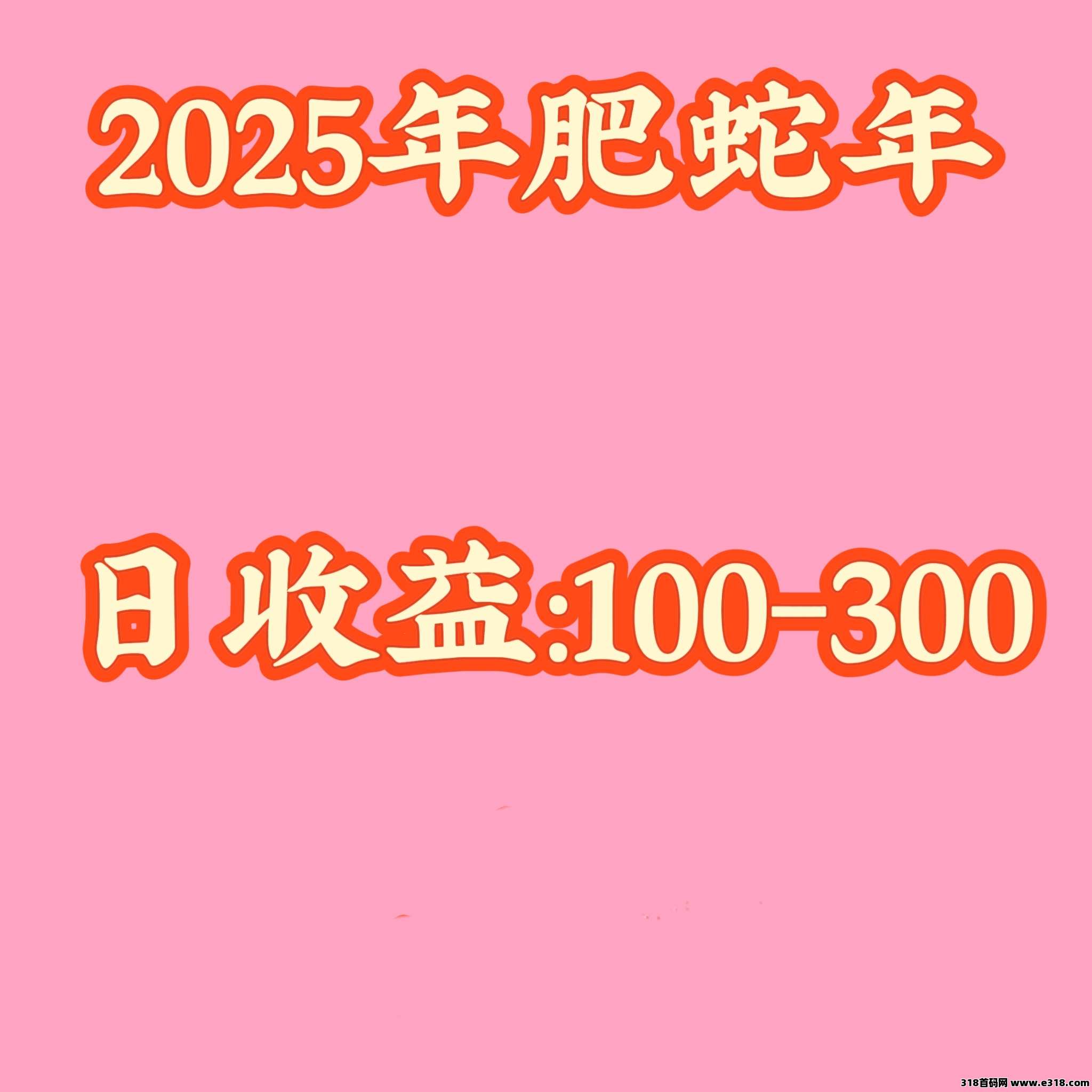 必过肥年！2025年新项目，日薪1-300